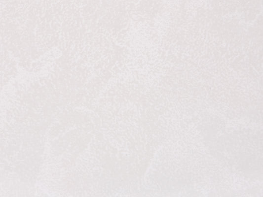 Vares-A (2 Pack) 10mm White Frosty Ice Gloss PVC Shower Wall Panels 2400 x 1000mm Tongue and Groove.